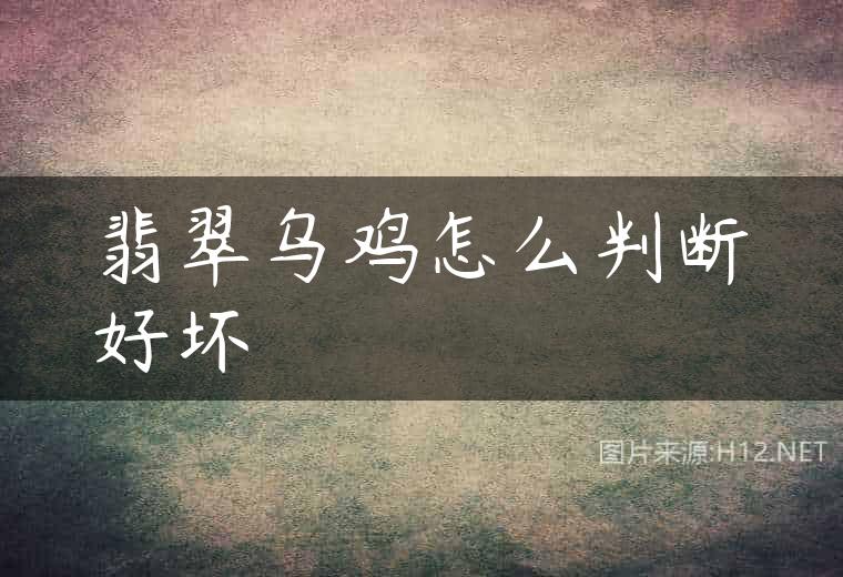 翡翠乌鸡怎么判断好坏