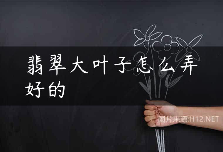 翡翠大叶子怎么弄好的