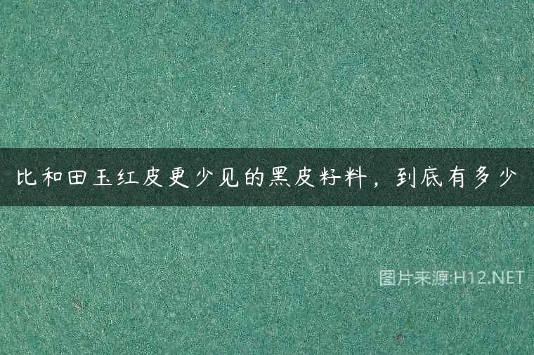 比和田玉红皮更少见的黑皮籽料，到底有多少