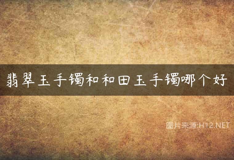 翡翠玉手镯和和田玉手镯哪个好