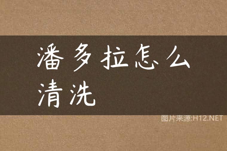 潘多拉怎么清洗