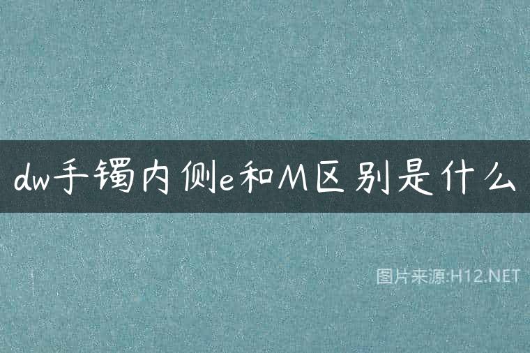 dw手镯内侧e和M区别是什么