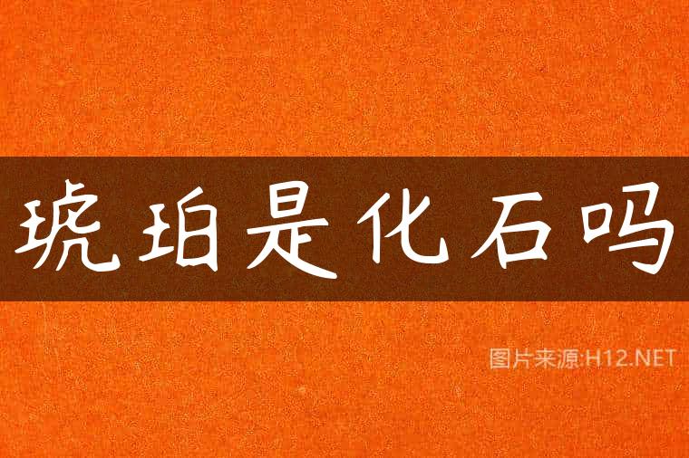 琥珀是化石吗