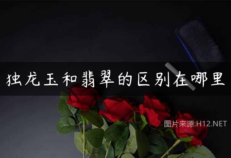独龙玉和翡翠的区别在哪里