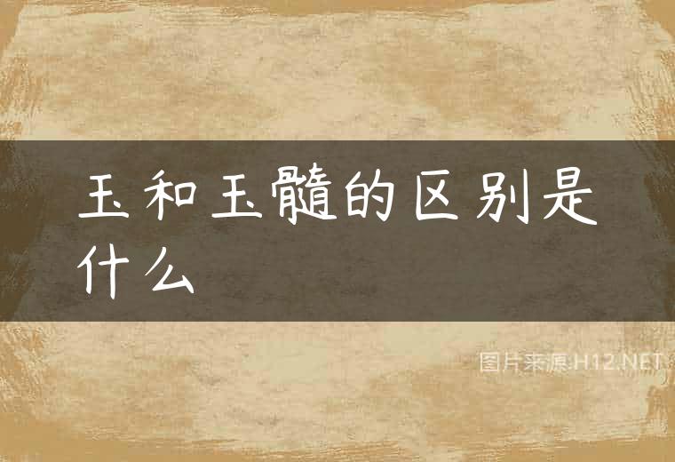 玉和玉髓的区别是什么