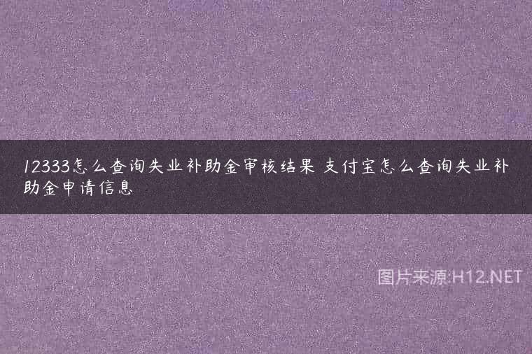 12333怎么查询失业补助金审核结果 支付宝怎么查询失业补助金申请信息
