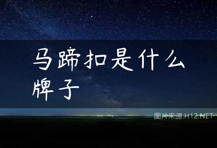 马蹄扣是什么牌子