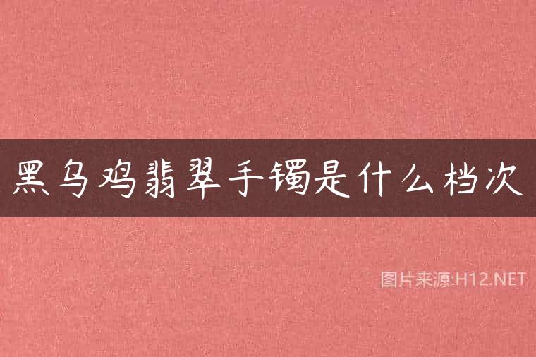 黑乌鸡翡翠手镯是什么档次