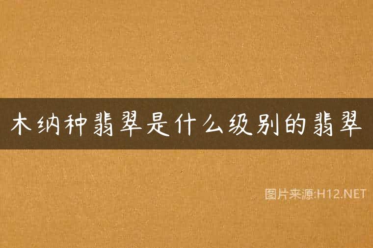木纳种翡翠是什么级别的翡翠