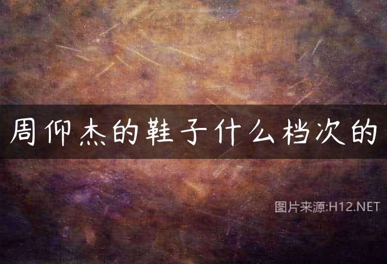 周仰杰的鞋子什么档次的