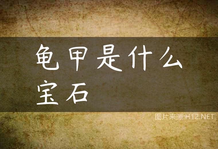 龟甲是什么宝石