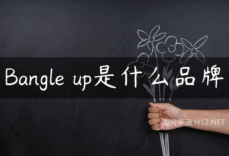 Bangle up是什么品牌