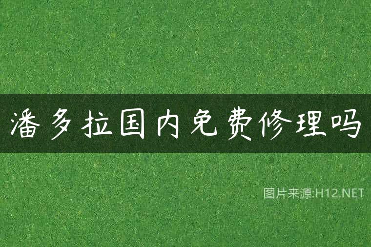 潘多拉国内免费修理吗