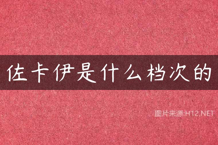 佐卡伊是什么档次的