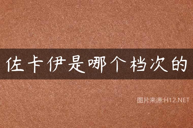 佐卡伊是哪个档次的