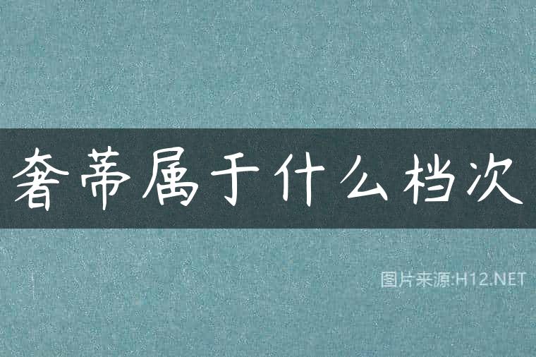 奢蒂属于什么档次