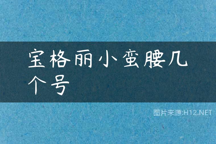 宝格丽小蛮腰几个号