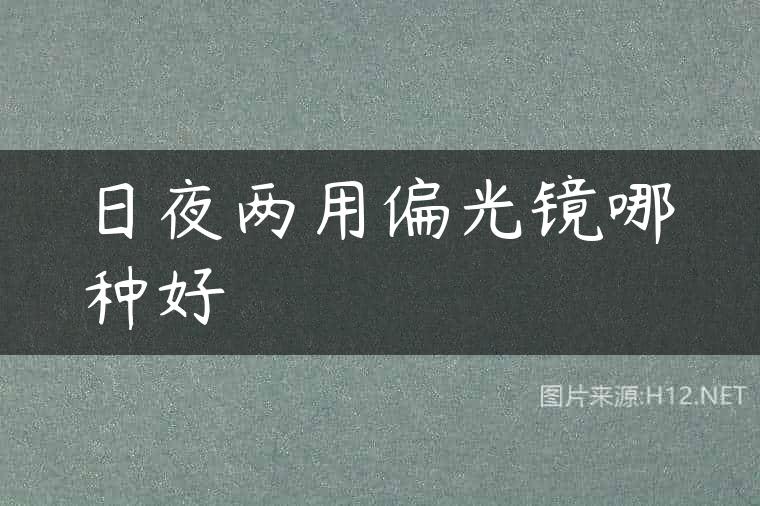 日夜两用偏光镜哪种好