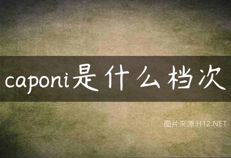 caponi是什么档次