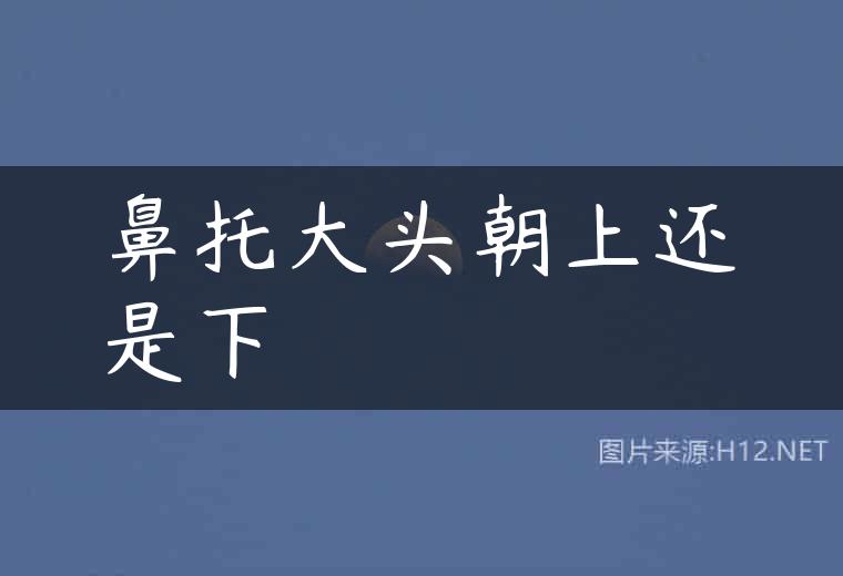 鼻托大头朝上还是下