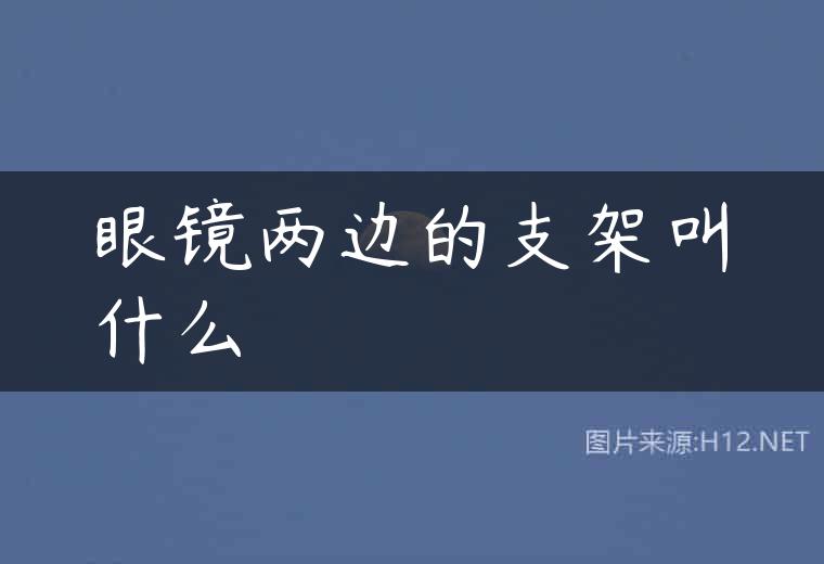 眼镜两边的支架叫什么