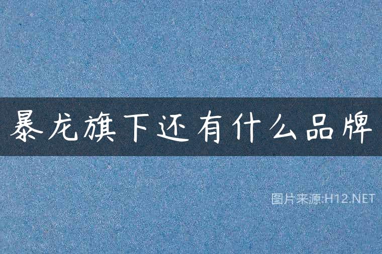 暴龙旗下还有什么品牌