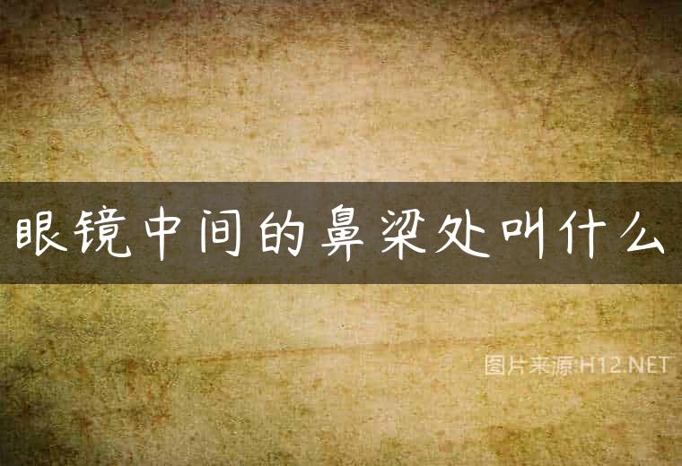 眼镜中间的鼻梁处叫什么
