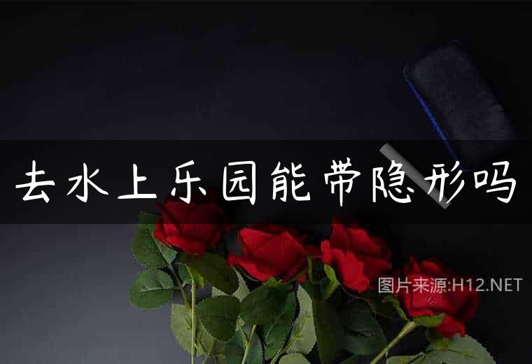 去水上乐园能带隐形吗