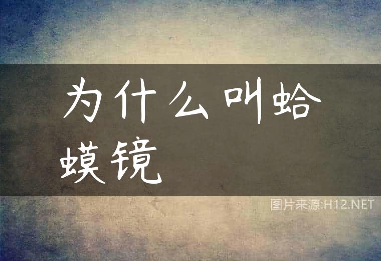 为什么叫蛤蟆镜