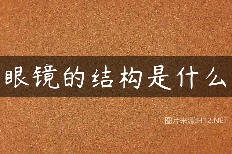 眼镜的结构是什么