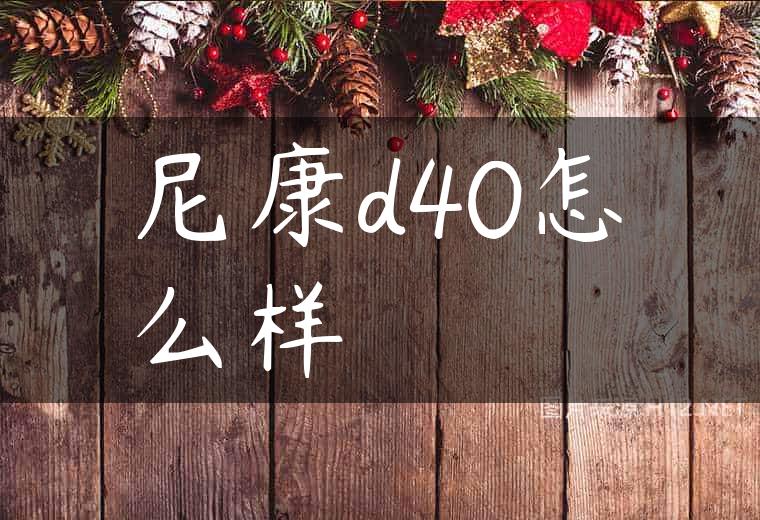 尼康d40怎么样