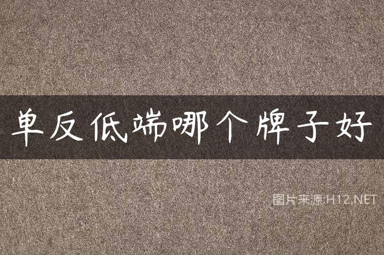 单反低端哪个牌子好