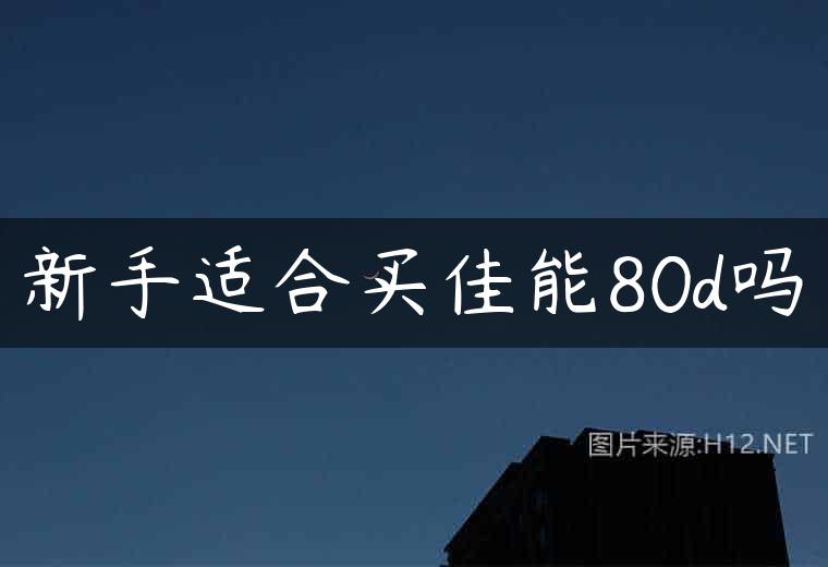 新手适合买佳能80d吗