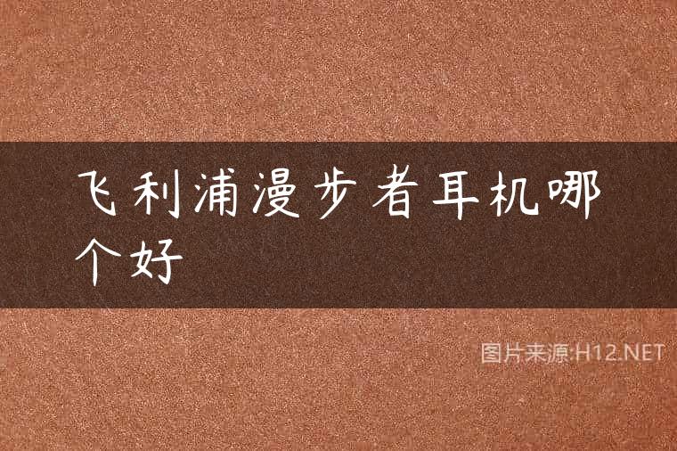 飞利浦漫步者耳机哪个好