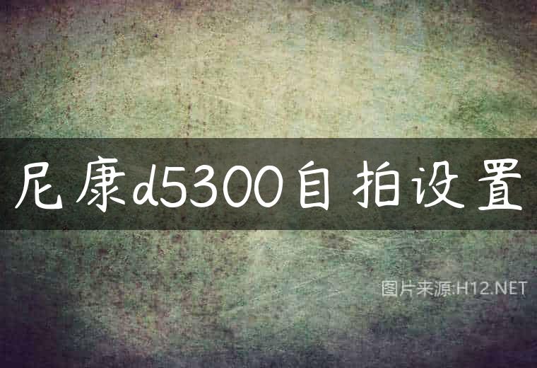 尼康d5300自拍设置