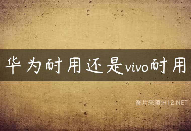 华为耐用还是vivo耐用