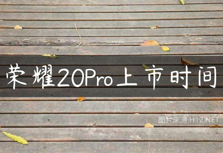 荣耀20Pro上市时间