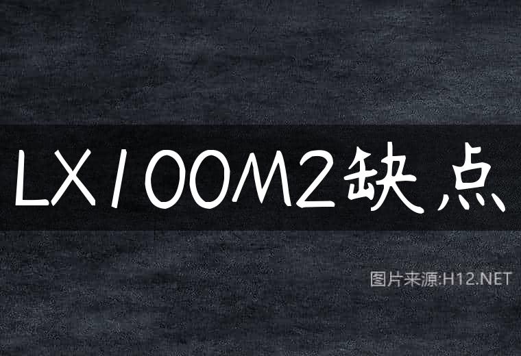 LX100M2缺点