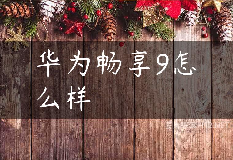 华为畅享9怎么样