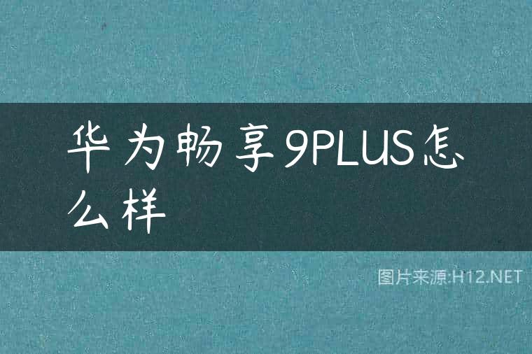 华为畅享9PLUS怎么样
