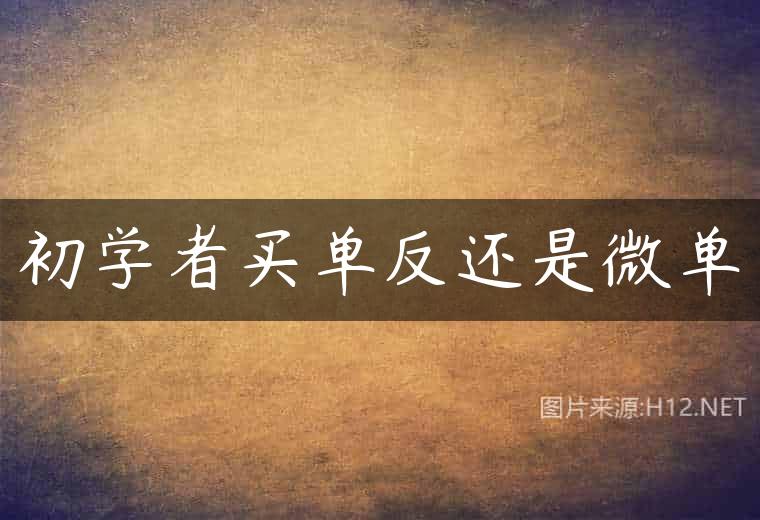 初学者买单反还是微单