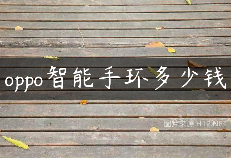 oppo智能手环多少钱
