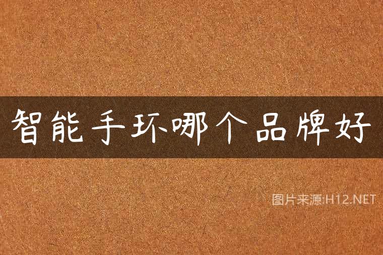 智能手环哪个品牌好