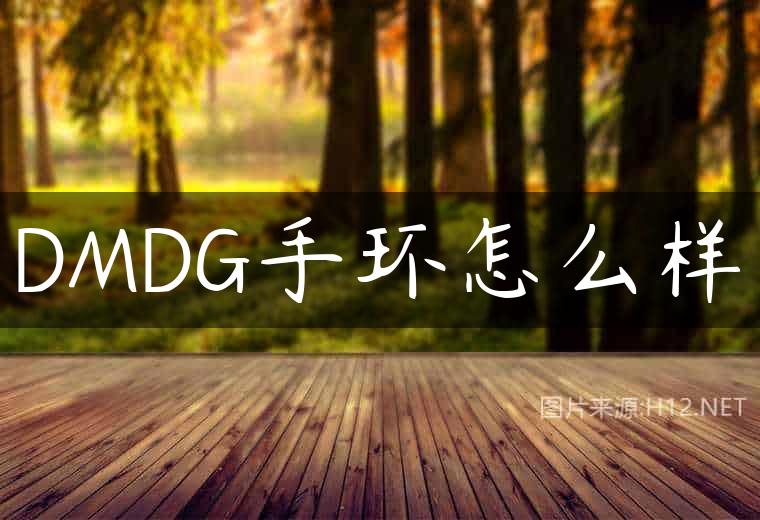 DMDG手环怎么样