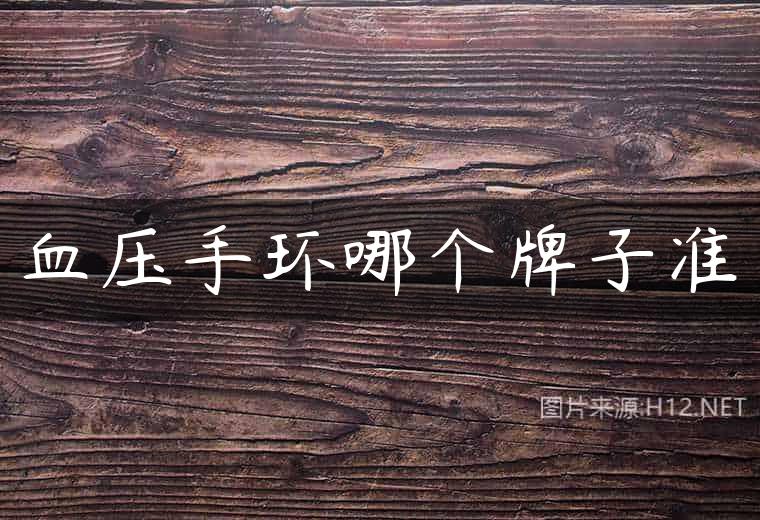 血压手环哪个牌子准