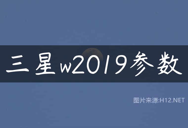 三星w2019参数
