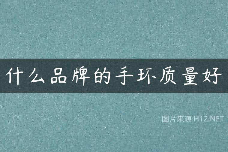 什么品牌的手环质量好