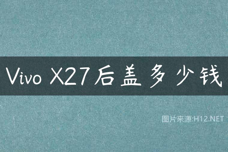 Vivo X27后盖多少钱