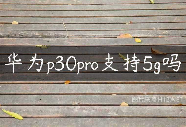 华为p30pro支持5g吗
