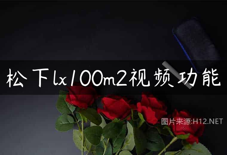 松下lx100m2视频功能